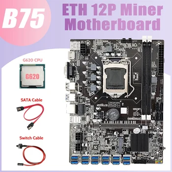 B75 ETH Madencilik Anakart + G620 CPU + Anahtarı Kablosu + SATA Kablosu LGA1155 12 PCIE USB MSATA DDR3 B75 USB BTC Anakart 6