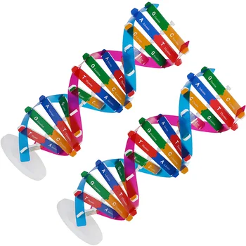 Dna Modeli Öğretim Bilim Yardımcıları Sarmal Çift Gen Moleküler Aracı Oyuncak Eğitici Gen Öğrenme Biyoloji Modelleri Kiti Enstrüman 9