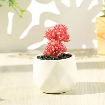 Göz alıcı Yapay Bitki Bonsai Saksı ile Parlak Renk Bakım Gerektirmez Etli Bitki Masaüstü için 12