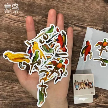 50 kutu Saksağan Serçe Kuş Etiket Estetik Dizüstü Scrapbooking Aksesuarları Telefon Çocuk Etiket Gevreği Kırtasiye Dekorasyon 9