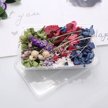 1 Kutu Gerçek Kurutulmuş Çiçekler Aromaterapi Mum Epoksi Reçine Kolye Kolye DIY Yapımı El Sanatları Aksesuarları Ev Düğün Dekor 18