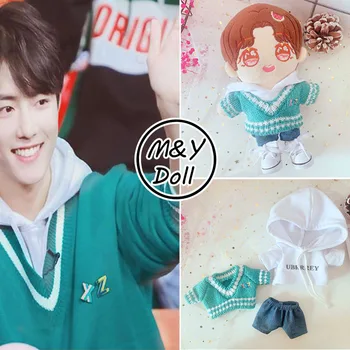 20CM Sean Xiao Zhan Idol oyuncak bebek giysileri Seti evcilleşmemiş NTC Yeşil Kazak Hoodie Wang Yibo Bebek Aksesuarları 2