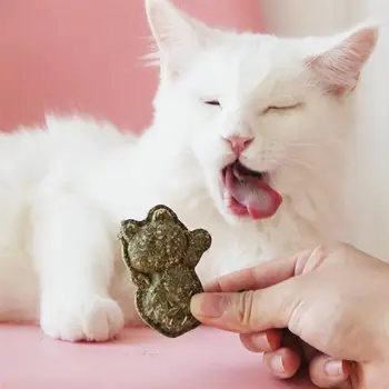 Catnip Kedi Tedavi Doğal Catnip Davranır Sağlıklı Doğal Sindirim Teşvik etmek için Saç Topları Kaldırır Kedi Çim Aperatif Pet Diş Çıkarma Oyuncak 9